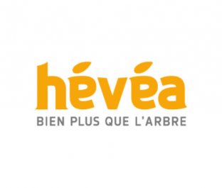  Hévéa