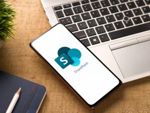 SharePoint : utilisateur et contributeur